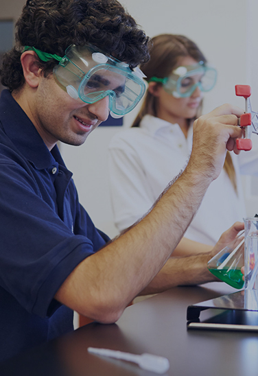 bioequivalence-studies